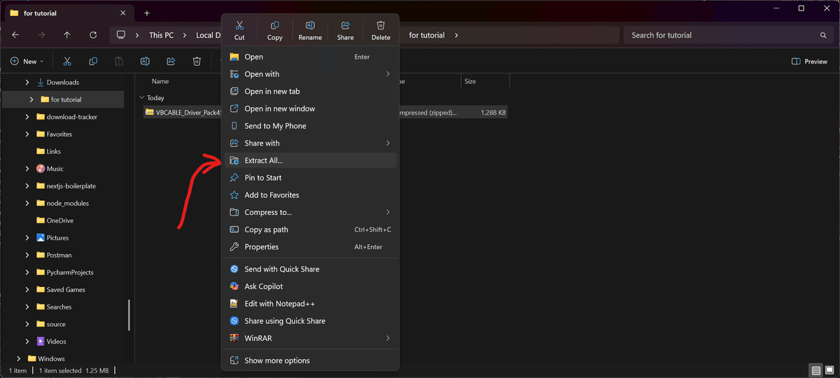 Right-click menu showing the Extract All option